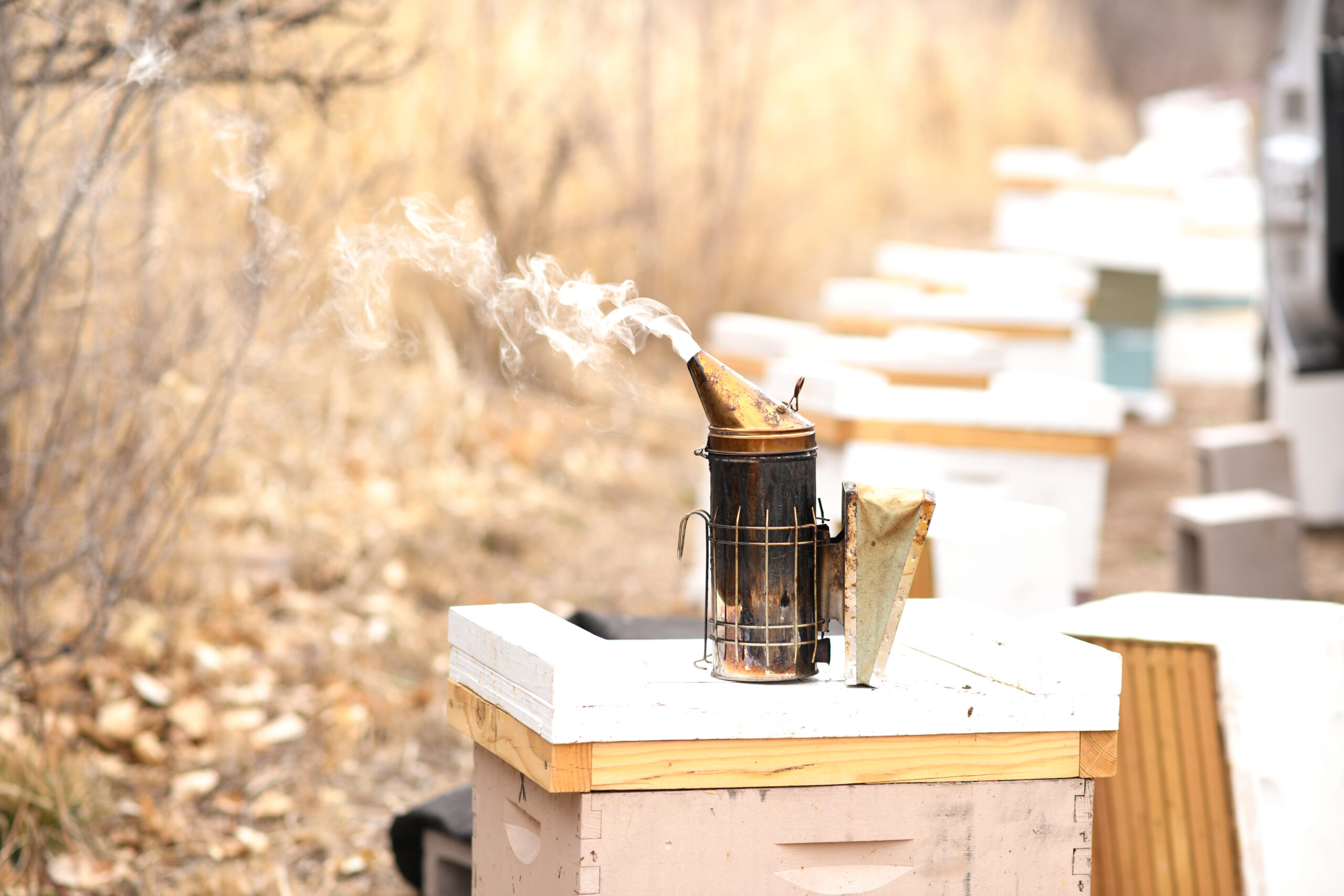 A bee hive with bees flying around it.